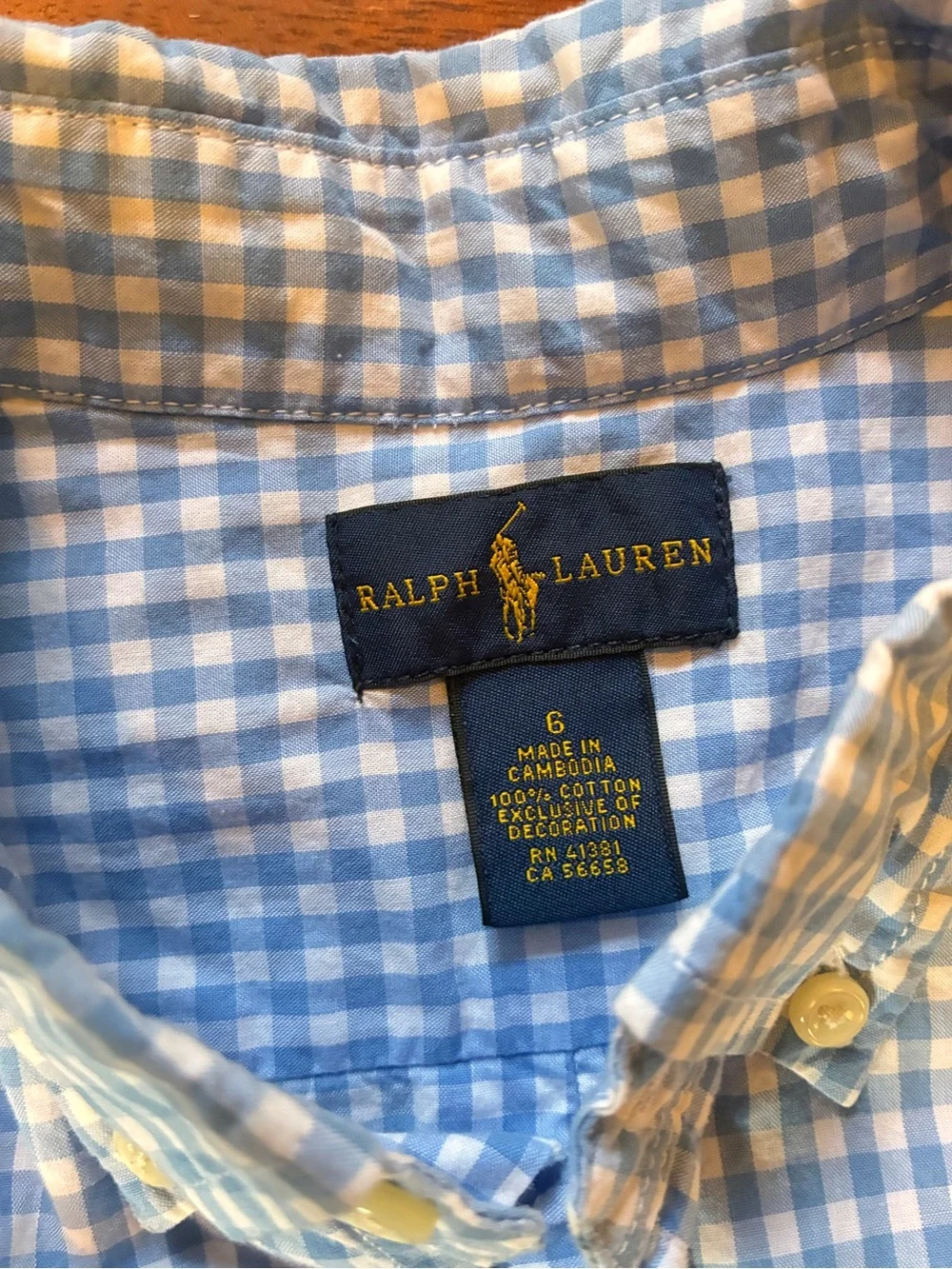 Boys Ralph Lauren Blue and White Gingham Button-Down Shirt